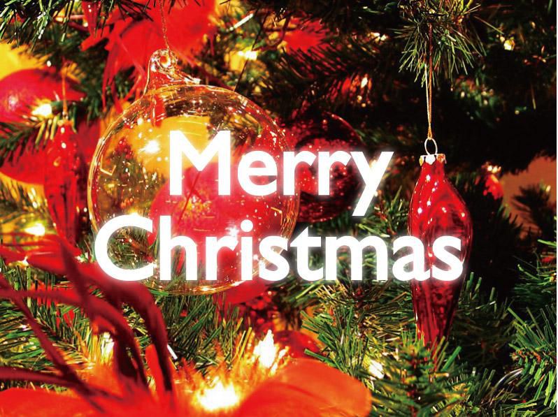 【12/23】人気企画★クリスマスファミリーバイキング予約受付開始！