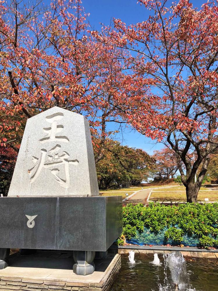 天童ホテル周辺の紅葉情報♪♪