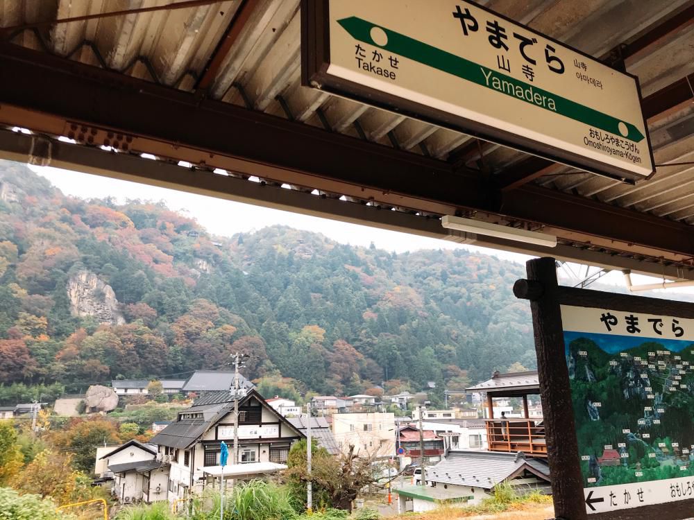本日の「山寺・天童」の紅葉情報♪