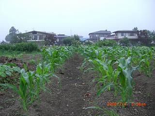 まほろばの里　農産物情報