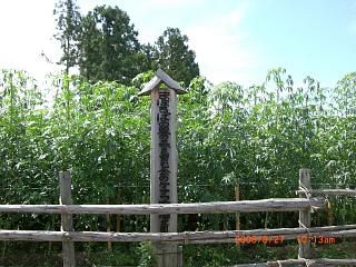 ◆地球環境を救う《けなふ》　　/*/*/*/