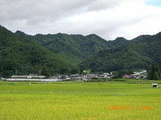 ◆たんぼ　の風景