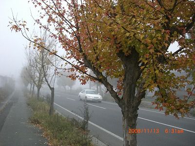 ◆朝の通勤にご注意　　