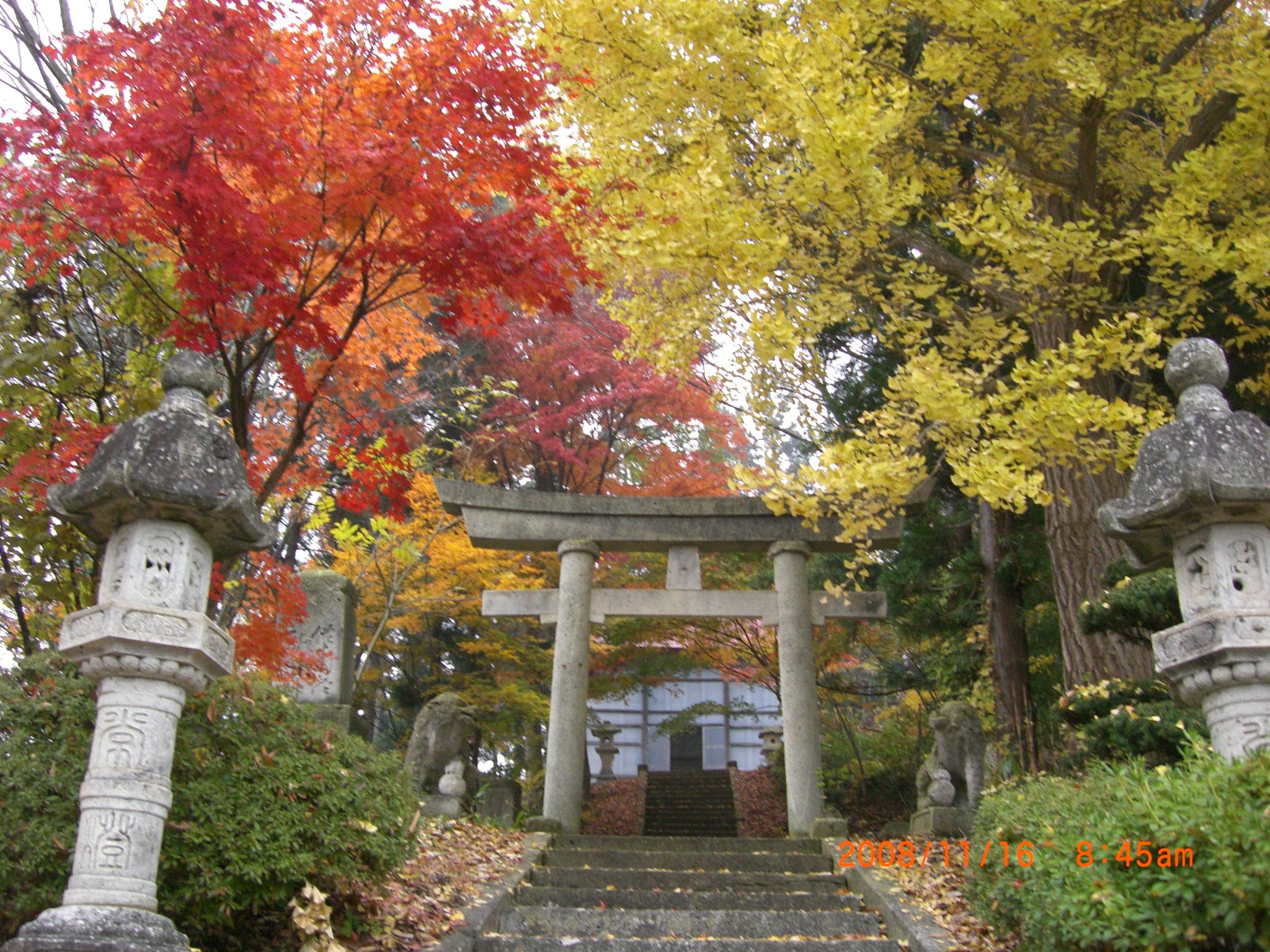 ◆文殊山の紅葉　　/*/*/