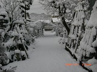 ◆本日の高畠　　/*/*/*/*
