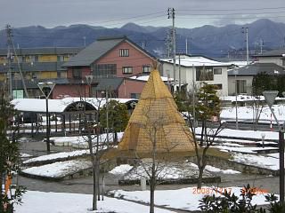 ◆冬咲きぼたんまつりの準備に入りました。