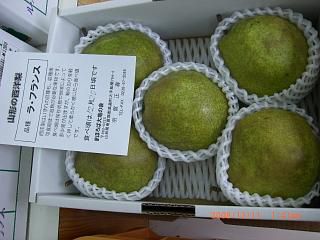 ◆高畠特産ラフランス　／*/*/*/／*/*/*/