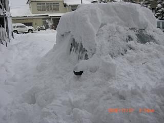 ◆今年の雪は　　／：／：／