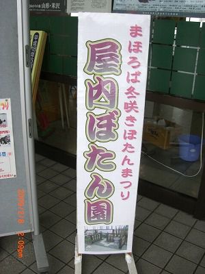 ◆道の駅高畠　『冬咲きぼたん園』開演中　／：／：／：