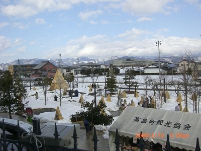 ◆『動画』冬咲きぼたん風景　/:/: