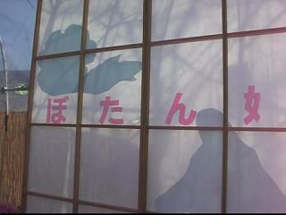 ◆『動画』　ハウスボタン園　　／：／：／：