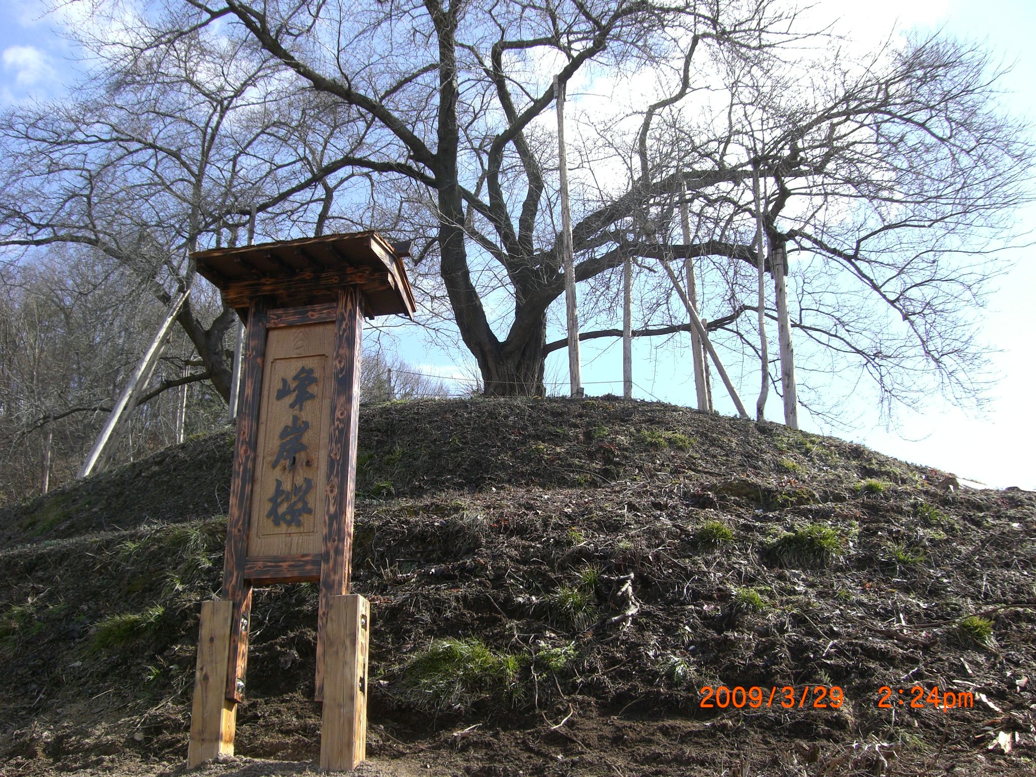 ◆峰岸山に看板が立ちました。　　／：／：／：