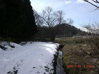 ◆いつものウォーキングコース　まだ雪が　　／：／：／：