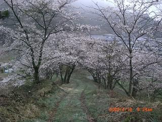 ◆明神山　鈴沼も　　／：／：