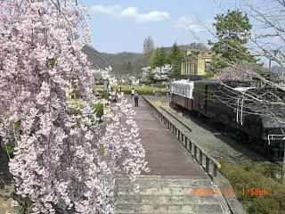 ◆まほろばの里桜回廊　旧高畠駅広場　／：／：