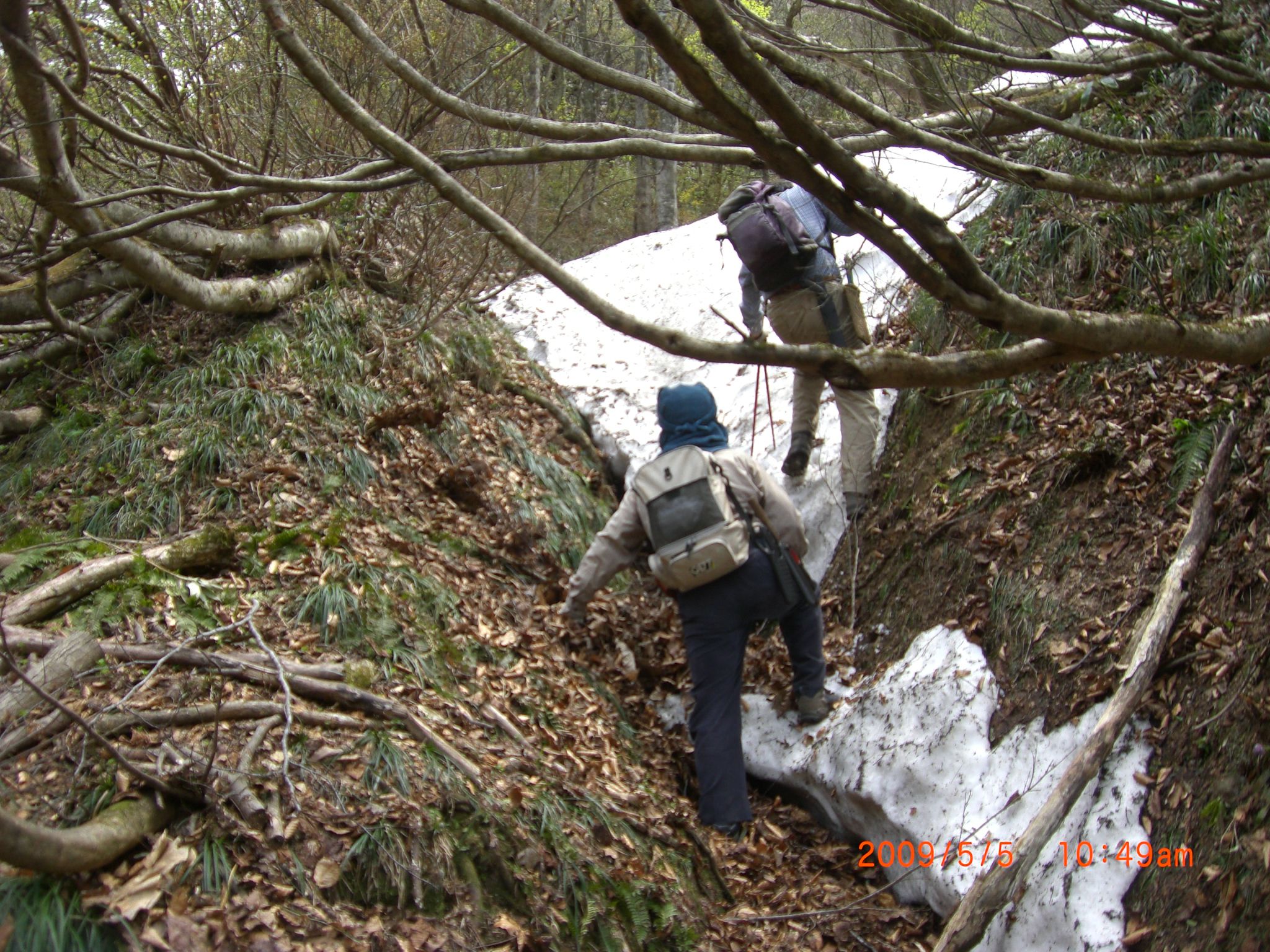 ◆5/5　豪士山登山道点検しました。　　／：／：