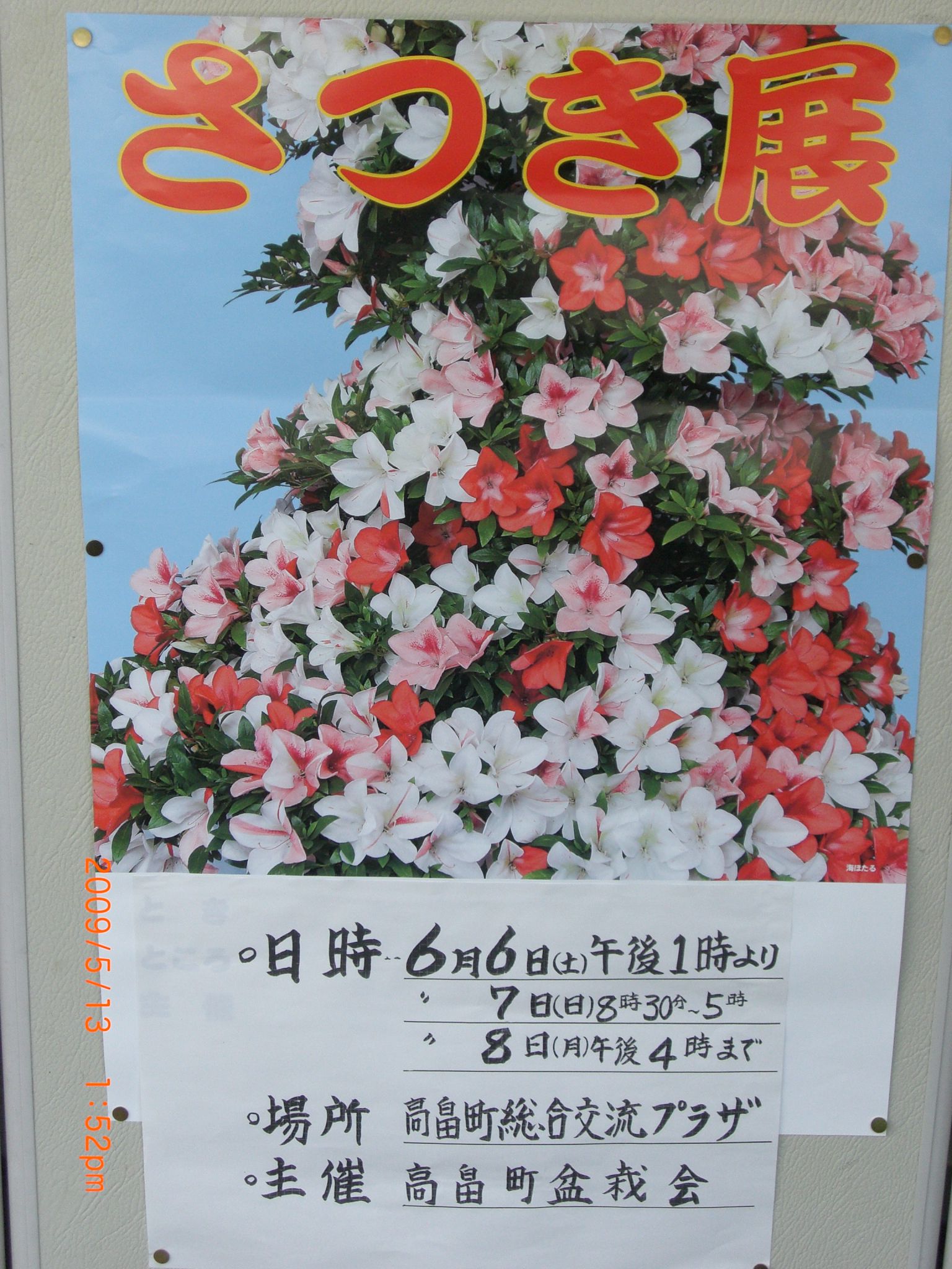 ◆高畠町さつき展が開催されます。