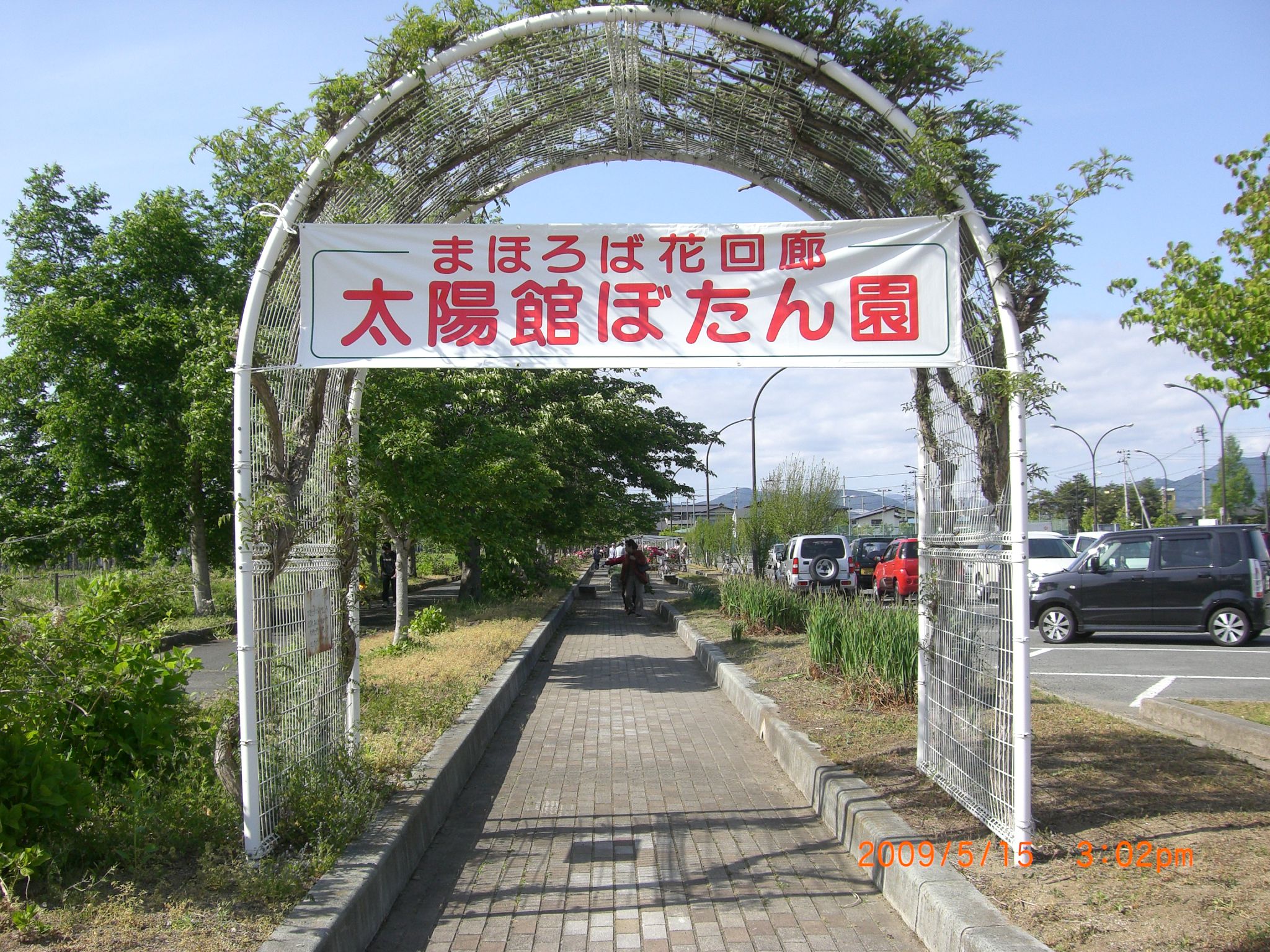 ◆太陽館ぼたん園　今が盛りです。　／：／：