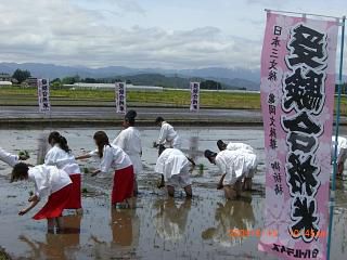 ◆受験合格米、田植行われました。　　／：／：