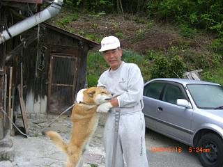 ◆ワン公と戯れる　　／：／：