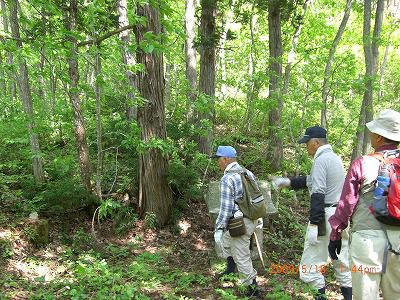 ◆亀岡文殊奥の院発掘調査　　／：／：