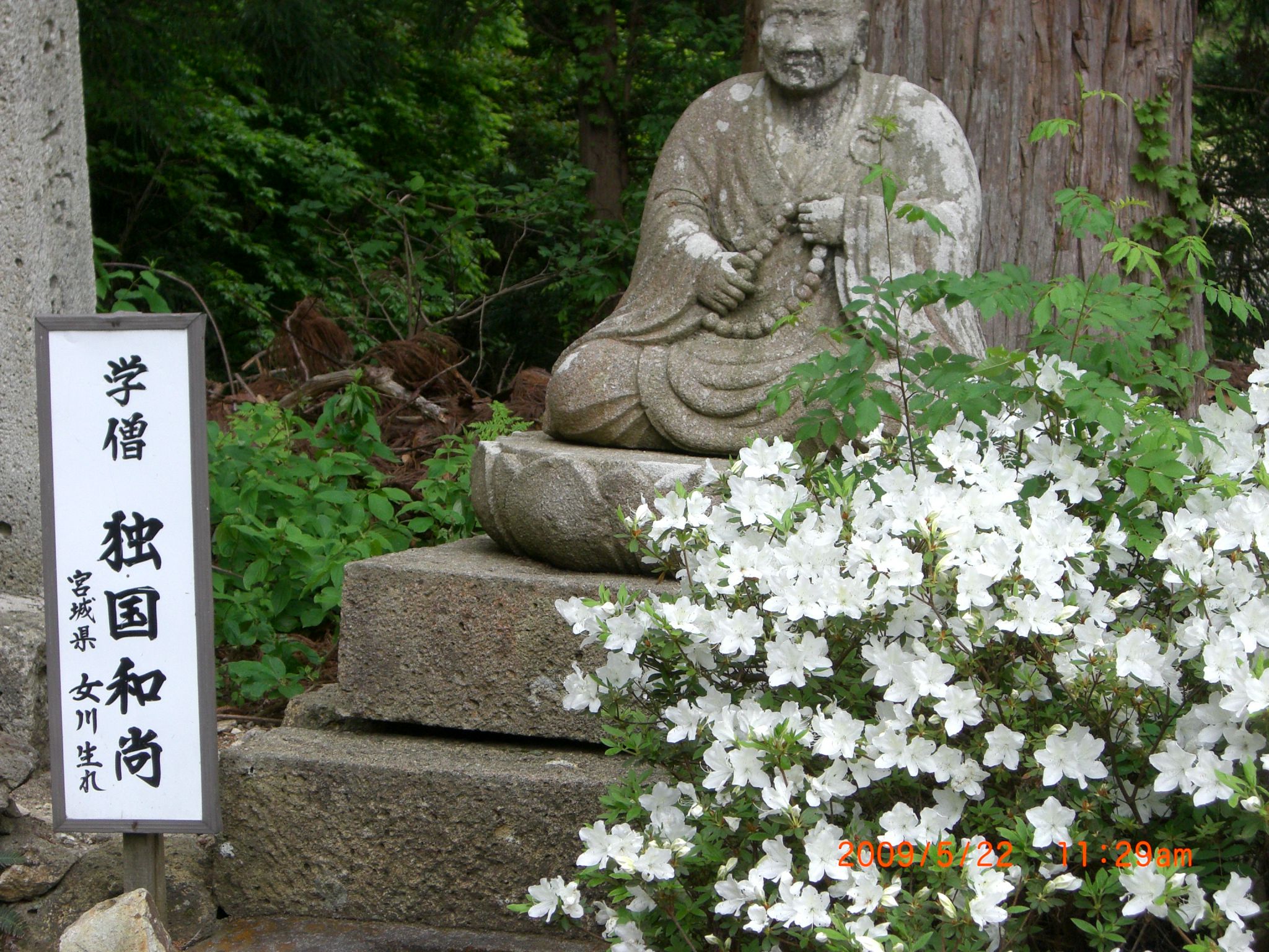 ◆亀岡文殊堂ツツジも見頃です。