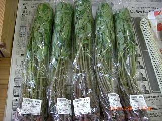 ◆みずな　蕨　最盛期です。　　／：／：＠＠＠