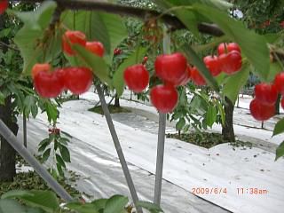 ◆校長先生も体験しています。　　／：／：＠＠＠