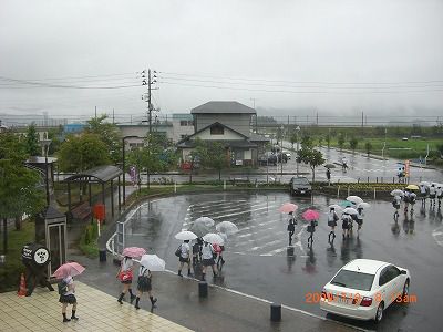 ◆今朝は雨　　＠＠＠＠
