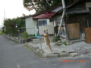 ◆ワン公　いつものスタイルで歓迎　　＠＠＠＠