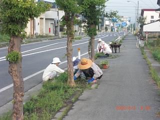 ◆ボランティア作業　感謝感謝です。　　＠＠＠＠