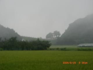 ◆霧の峰岸山　　＠＠＠＠