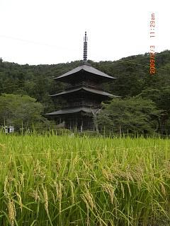 ◆稲穂と三重の塔　　＠＠＠