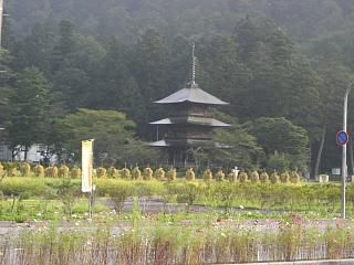 ◆稲刈り後の風景　　＠＠＠＠