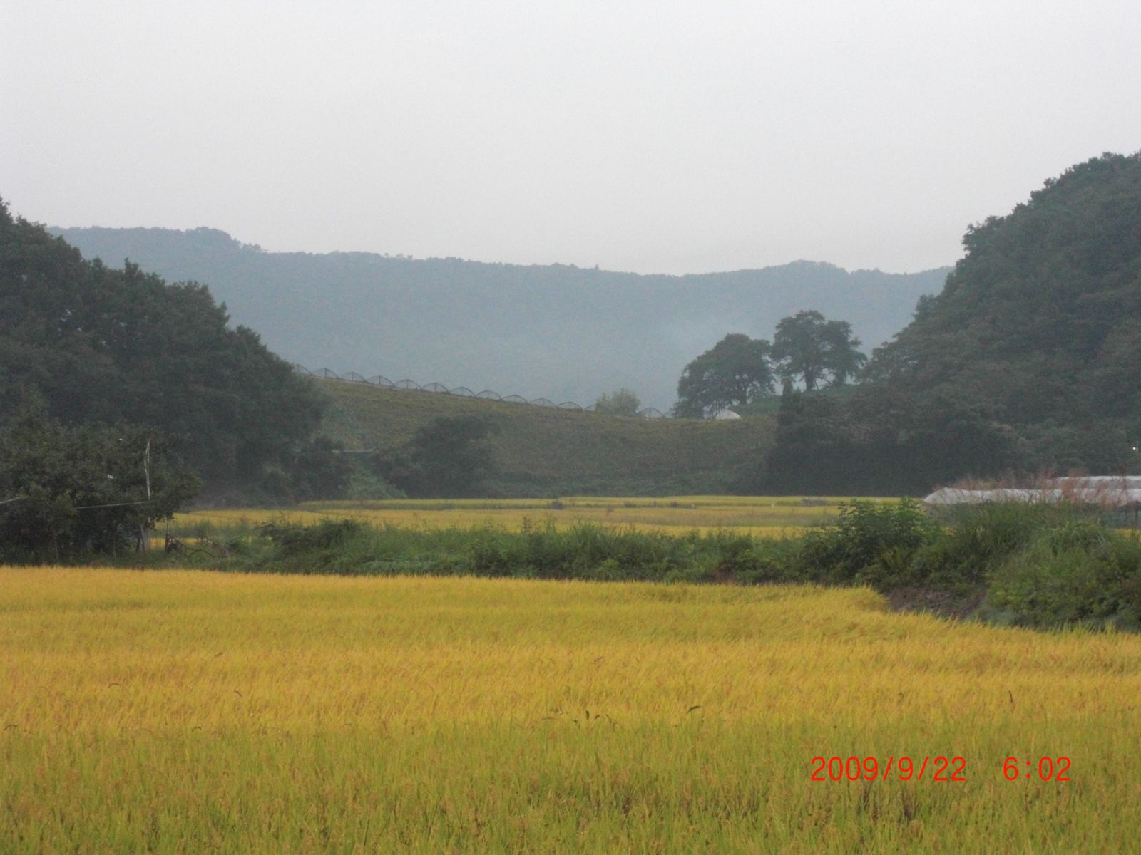 ◆まほろばの里　秋の風景　　　＠＠＠＠
