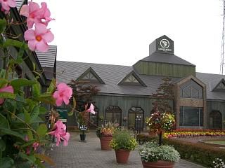 ◆高畠ワイナリー秋の花でいっぱいです。　＠＠＠