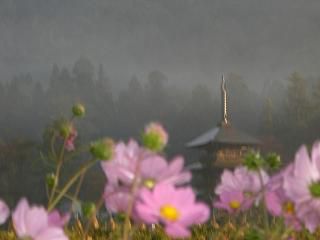 ◆13日の八幡様三重塔　　＠＠＠