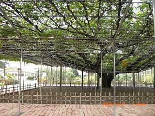 ◆県南観光推進協議会研修会報告　　＠＠＠＠