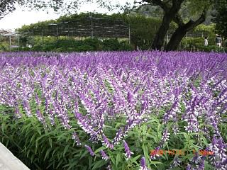 ◆県南観光推進協議会研修会報告続編　＠＠＠＠