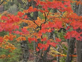 ◆みちのくおとぎ街道の紅葉　　＠＠＠＠