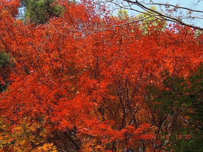 ◆まほろばの里　　紅葉の美しさ　　＠＠＠
