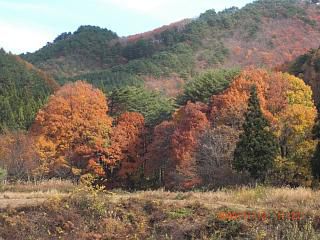 ◆まほろばの里　　里山風景　　＠＠＠