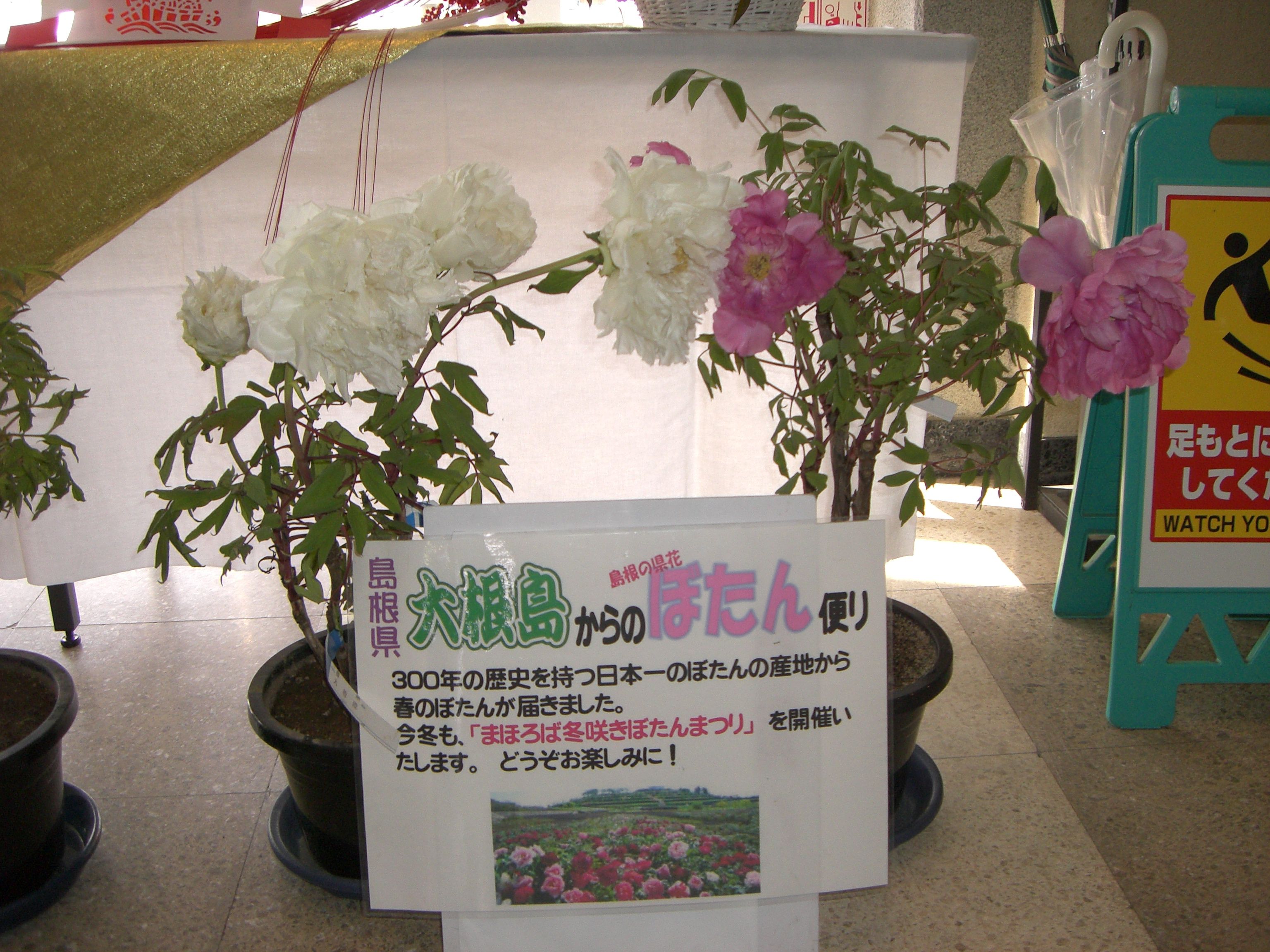 ◆高畠駅の正月風景　　＠＠＠