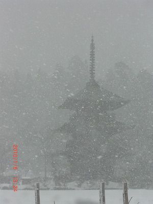 ◆本日の三重塔　　吹雪です。　＠＠＠