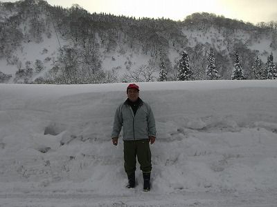 ◆山形県小国町の雪　　＠＠＠
