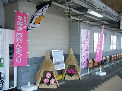 ◆JR米沢駅ホームに“ぼたんまつり”が！