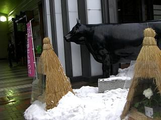 ◆まほろば冬咲きぼたん祭り　　よねおりさん会場