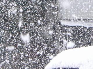 ◆本日の雪　　　＠＠＠