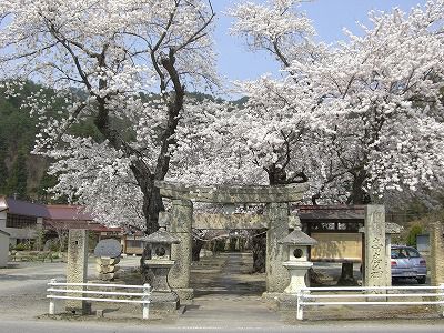 ◆まほろばの里『桜の名所』　012　＠＠＠＠