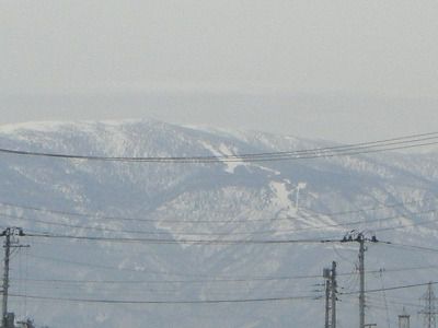 ◆『白馬の騎士』くっきり出ました。